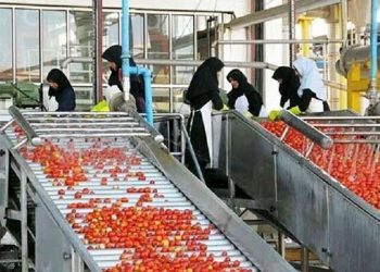 توسعه صنایع تبدیلی ضامن ارزش افزوده تولیدات کشاورزی در زنجان