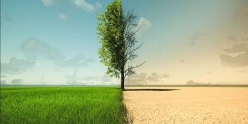 کاهش خسارت‌های امنیت غذایی در گرو ذخیره‌سازی محصولات استراتژیک