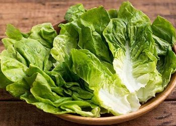 یک متخصص بهداشت مواد غذایی؛کاهوی لزج را دور بریزید