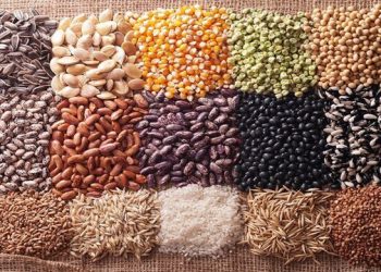 ذخیره ۷۴ هزار نمونه در بانک ژن موسسه اصلاح بذر