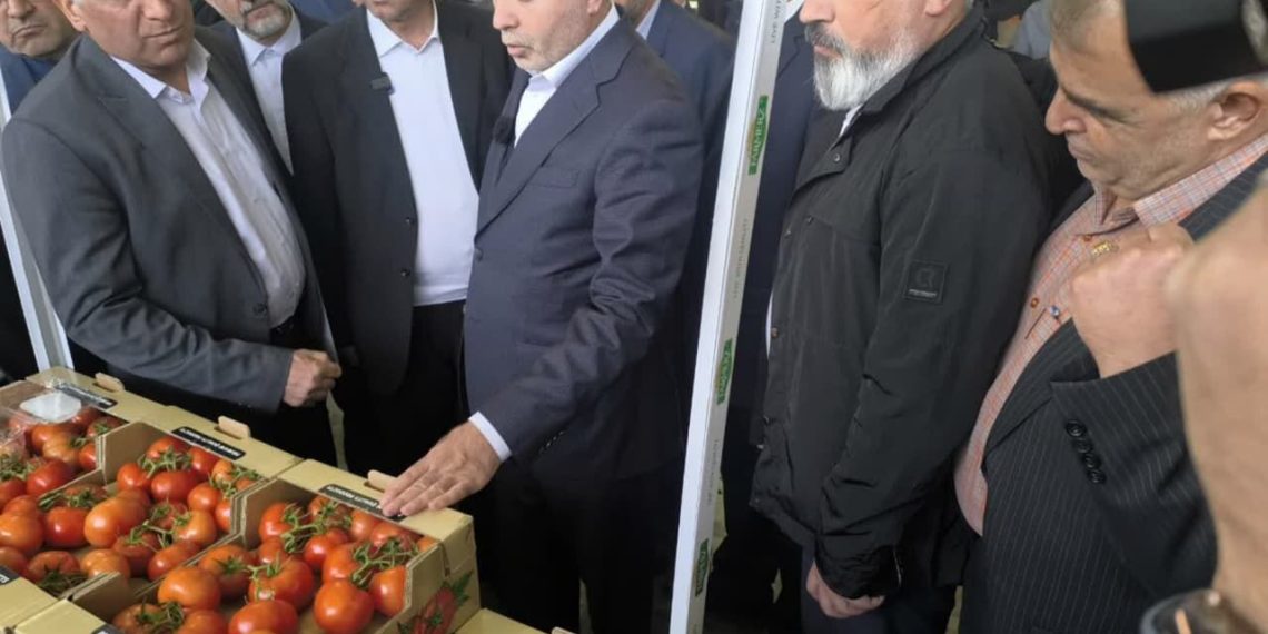 بازدید سرزده وزیر جهاد کشاورزی از بازار عرضه عمده گوشت و مرغ پایتخت