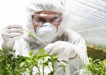 بخش کشاورزی فقط ۴ درصد انرژی کشور را مصرف می‌کند