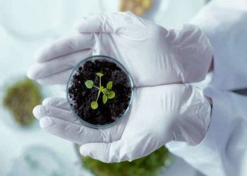 گسترش چشمگیر بازار فناوری‌نانو کشاورزی تا سال ۲۰۳۱