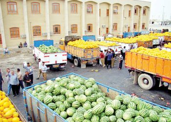 ۵۵ درصد درآمد ارزی حاصل از صادرات محصولات باغی است