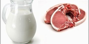 آوردن کالای گوشتی و لبنی همراه مسافران به انگلیس ممنوع شد