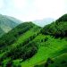 حفاظت از عرصه‌های منابع طبیعی به جوامع محلی واگذار شود