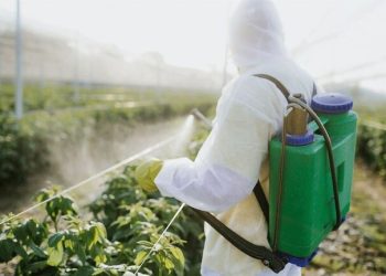 ۱۲ درصد سموم مصرفی کشور پرخطر است