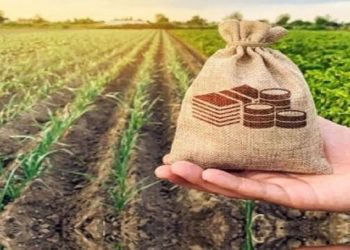 ۶ میلیارد دلار سرمایه‌گذاری خارجی در بخش کشاورزی انجام می‌شود