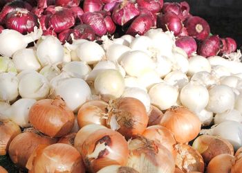 دلیل نوسان قیمت پیاز چیست؟/ نیازمند برنامه‌ریزی و سیاست‌گذاری مشخص هستیم