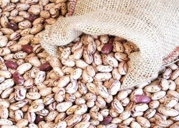 قیمت لوبیا چیتی به ۳۲۰ هزارتومان رسید