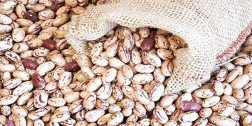 قیمت لوبیا چیتی به ۳۲۰ هزارتومان رسید