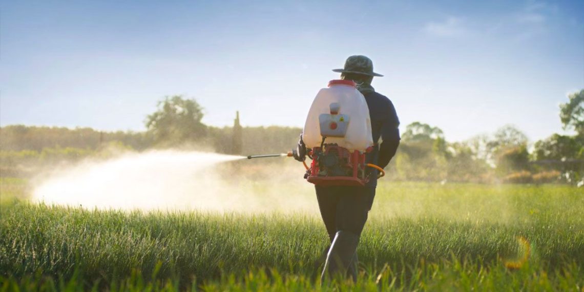 کاهش ۴۵ درصدی مصرف کود کشاورزی با نوآوری نانو