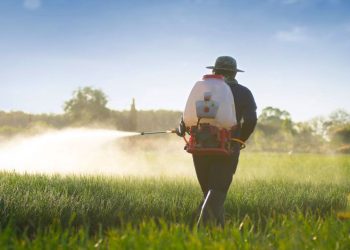 کاهش ۴۵ درصدی مصرف کود کشاورزی با نوآوری نانو