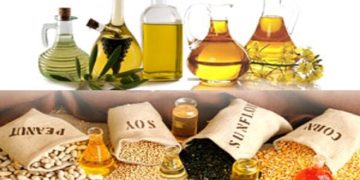 قزاقستان؛ پایگاه جدید کشاورزی فرامرزی ایران در تولید دانه‌های روغنی