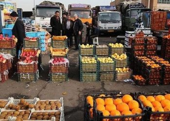 سایه دلالان بر کشت و زرع، تهدیدی برای معیشت کشاورزان