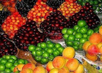 عدم ارائه فاکتور و ضعف در نظارت‌ها عامل اصلی گرانی میوه