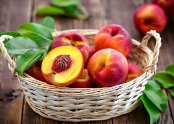 شلیل؛ میوه تابستانی برای سلامت چشم، پوست و قلب