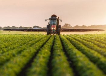 معاون وزیر جهاد کشاورزی: اجرای موفق الگوی کشت نیازمند همگرایی دستگاه‌هاست