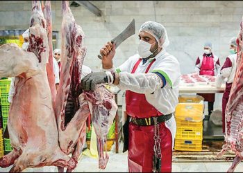 ذخایر گوشت داخل مطلوب است