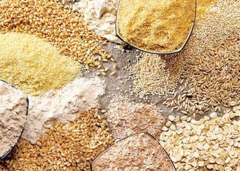 تخصیص ارز ترجیحی ادامه داد؛ افزایش قیمت‌ها پذیرفتنی نیست