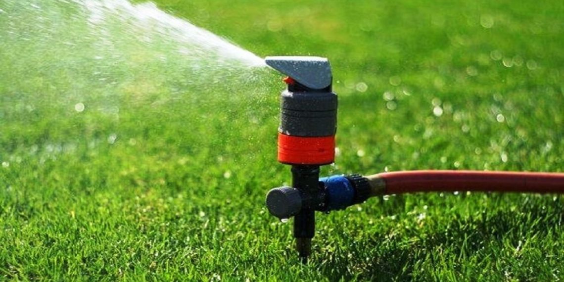 معاون وزیر جهاد: فناوری‌های نوین به نفع بخش کشاورزی عملیاتی شود