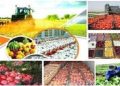 کدام خوراکی‌ها بیشترین و کمترین تورم را تجربه کردند؟