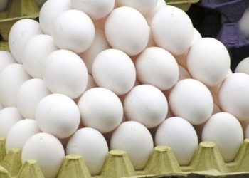 صادرات تخم مرغ به بیش از ۴۰ هزارتن رسید