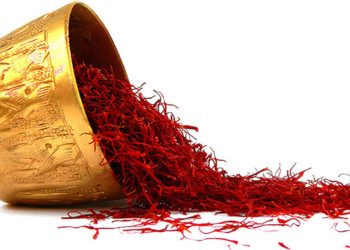 زعفران روند پیری را کند می کند