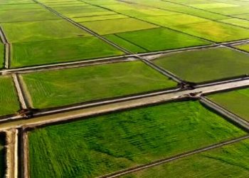 تثبیت مالکیت اراضی کشاورزی شتاب گرفت/ رفع تداخل ۹۲ درصدی