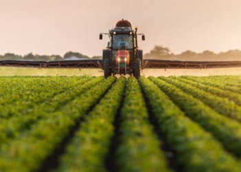 پیش‌بینی صرفه‌جویی ۱۰ درصدی آب در کشاورزی با الگوی کشت نوین