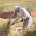 مرجع رسمی حسابهای ملی و رشد اقتصادی فقط مرکز آمار ایران است