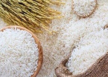 ثبت سفارش ۱۵۰ هزارتن برای ترمیم ذخایر راهبردی در مردادماه