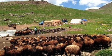 اجرای تولید قراردادی بهره وری را ۳۵ درصد افزایش می‌دهد