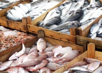 کشور چین بزرگترین مقصد صادراتی آبزیان ایرانی