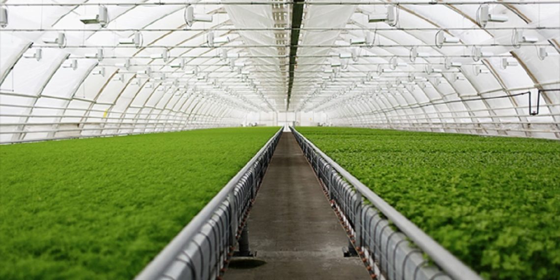 ایران رقیب ترکیه در تجهیزات گلخانهای است