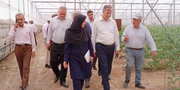 توسعه باغات الگویی از اولویت‌های وزارت جهادکشاورزی است
