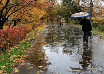 هشدار جلوگیری از کشت محصولات آب بر به کشاورزان