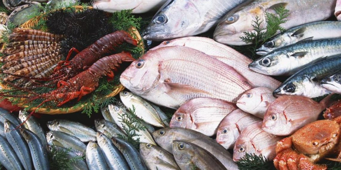 صادرات محصولات دریایی سیستان و بلوچستان به چین، مالزی، تایلند و امارات متحده عربی