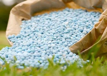 توزیع ۱۶ هزار تن انواع کودهای کشاورزی در استان تهران