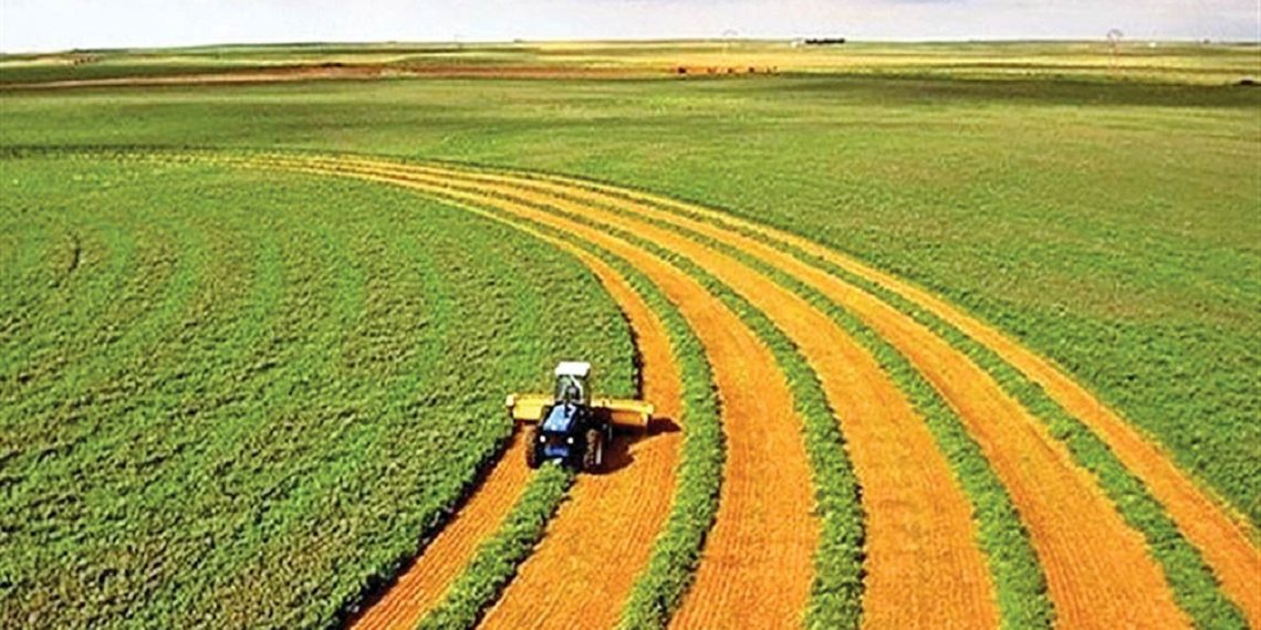 واردات سالیانه کالا‌های اساسی بخش کشاورزی به ۲۲ میلیون تن رسید