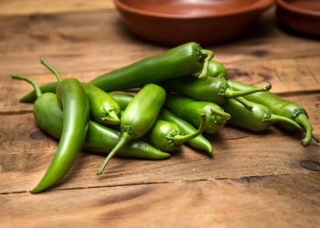 فلفل‌ سبز؛تند اما دوست داشتنی برای قلب و مغز