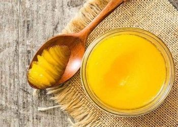 رکوردشکنی تولید روغن نباتی در کشور؛ هشدار صنعت از بحران تأخیر ارزی