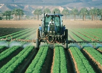 وضعیت دیم‌زارها در چارچوب برنامه الگوی ملی کشت مشخص شود