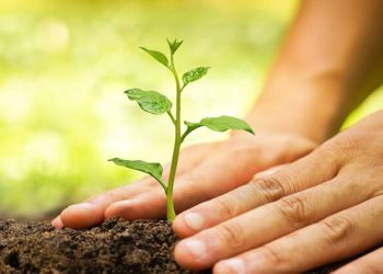 تشدید نظارت میدانی بر اجرای طرح کاشت یک‌ میلیارد درخت