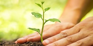 تشدید نظارت میدانی بر اجرای طرح کاشت یک‌ میلیارد درخت