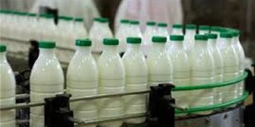 نیاز شدید خراسان شمالی به ایجاد صنایع فرآوری شیر