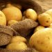 پیش‌بینی صادرات ۷۵ هزارتُن سیب‌زمینی/ صادرکننده حرفه‌ای سیب‌زمینی در همدان نداریم