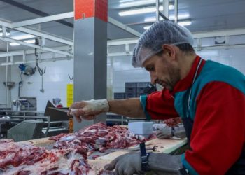 آغاز واردات و عرضه گوشت تازه با استفاده از ارز مبادله‌ای