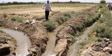 کشاورزان خاش فعالیت‌های آماده‌سازی زمین و کاشت محصولات زراعی را آغاز کردند/تمرکز ویژه‌ بر اجرای الگوی کشت