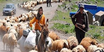 آغاز طرح جمع‌آوری اطلاعات دام عشایر در خوزستان